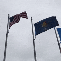 American Flag Hashtagmke GIF by JMatt