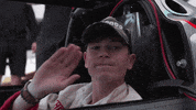 excited wave GIF by Roborace
