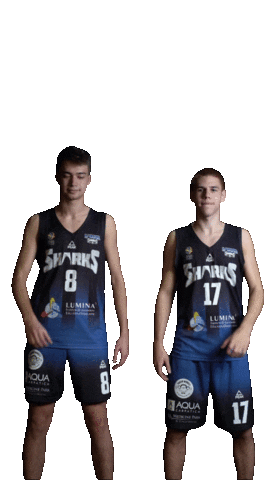 LagunaSharks giphyupload love sport basketball Sticker