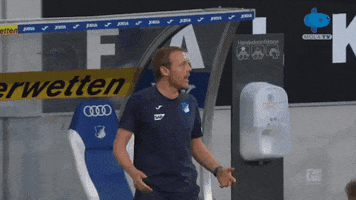 Give Rb Leipzig GIF by MolaTV