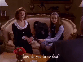 season 1 netflix GIF by Gilmore Girls 