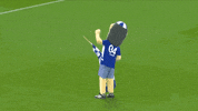 Football Soccer GIF by FC Schalke 04