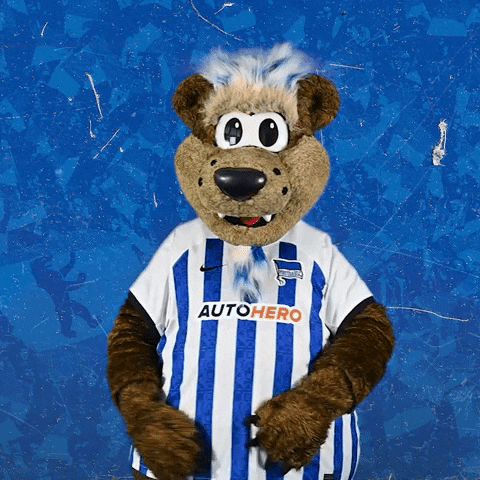 Bundesliga Berlin GIF by Hertha BSC
