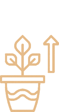 Plant Growth Sticker by Kick Point