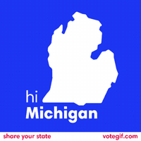 GIF by VoteGif