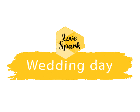 Boda Wedding Day Sticker by SparkVisuals
