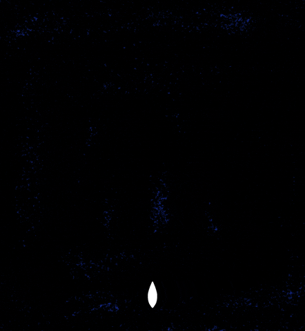 Excited Lets Go GIF by Yeremia Adicipta