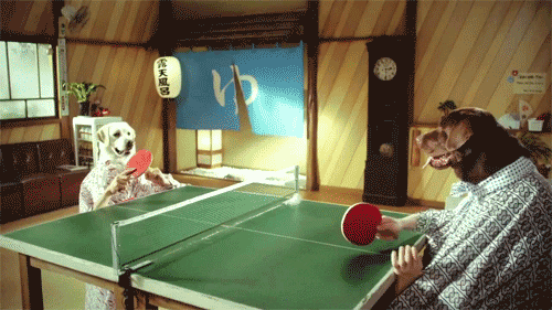 Ping Pong Dog GIF