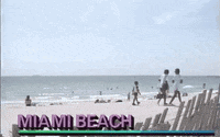 fuzzyghost 80s vhs vaporwave retrowave GIF