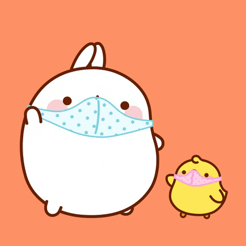 giffy8031 giphygifmaker giphyattribution GIF
