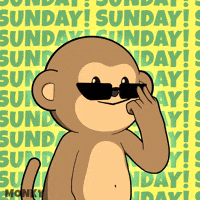 Coffee Work GIF by Wise Monkey Meme