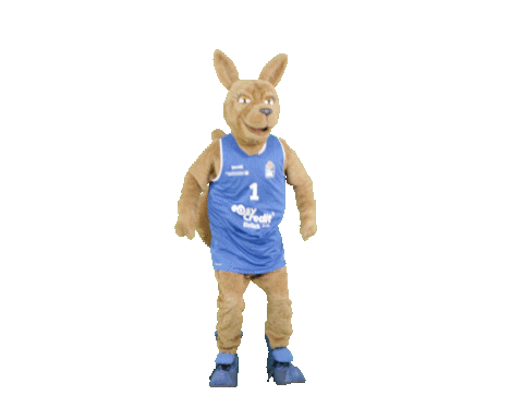 social-media-easycredit giphyupload basketball easycredit ellihoop Sticker