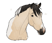 Horse Sticker