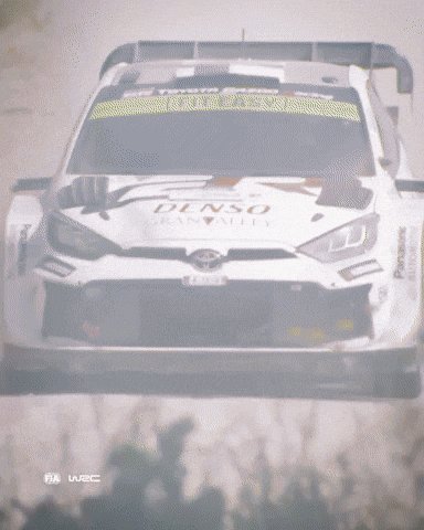 Estonia GIF by FIA World Rally Championship