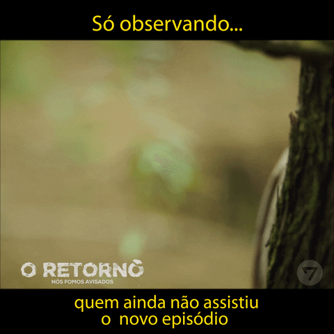 Adventistas-Brasil giphyupload GIF