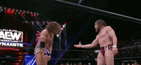 Bryan Danielson Wrestling GIF by AEWonTV