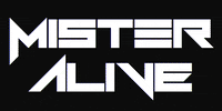 djmisteralive dj festival techno edm GIF