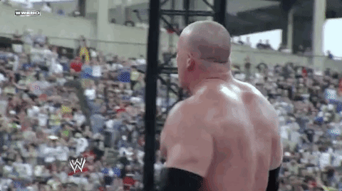 wrestlemania xxiv wrestling GIF by WWE