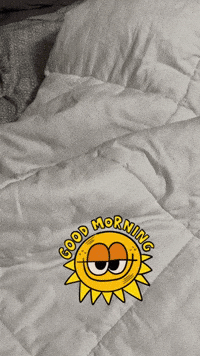 Boston Terrier Puppy GIF by Cirokstarr