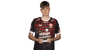 Mainz 05 Vbl Sticker by Bundesliga