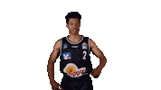 hakromerlins basketball canada bbl bell Sticker