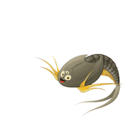 triopsking sea monkeys triops tadpole shrimps urzeitkrebse Sticker