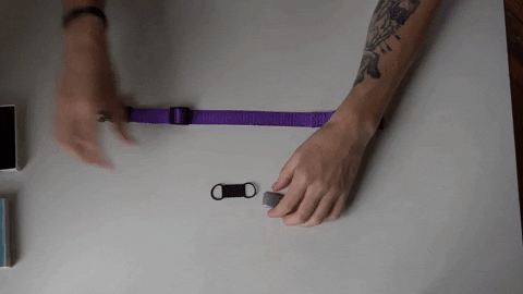 Pet Collar GIF by ROAD iD