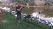 GIF by mcaphotografia