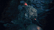 trick or treat wtf GIF by PlayStation