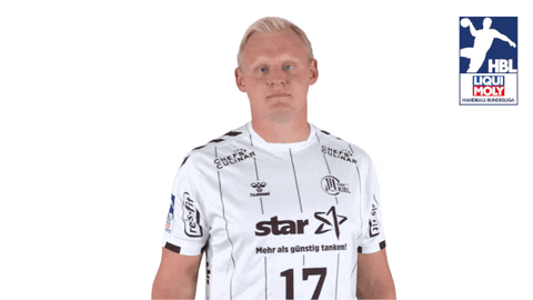 Handball-Bundesliga Finger GIF by LIQUI MOLY HBL