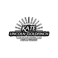 LincolnGoldfinchLaw texas austin kate lincoln Sticker