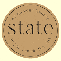 Statelaundry laundry state laundry GIF