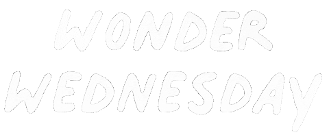 Wednesday Wonder Sticker