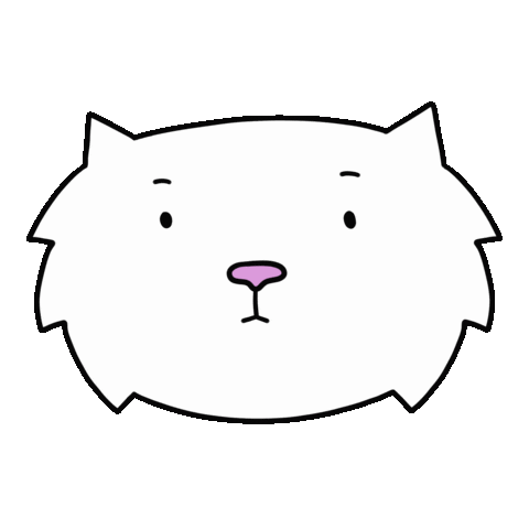 infactcat giphyupload cat wow amazing Sticker