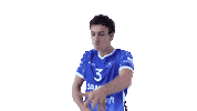Sport Team Sticker by Amysoft Lycurgus