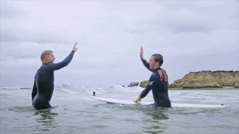 france car GIF by Red Bull Racing