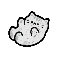 Cat 고양이 Sticker