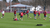happy robert lewandowski GIF by FC Bayern Munich
