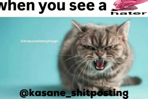 Ardaistim101 giphyattribution giphycreatortest teto hater GIF