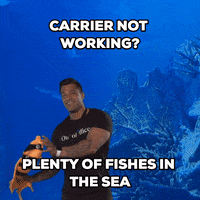 Fish Delivery GIF by Sendcloud