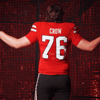 Red Raiders GIF by Texas Tech Football