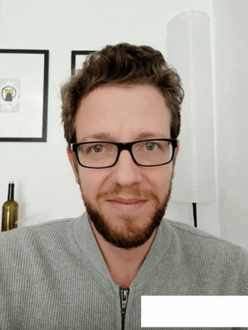 VirtualZity giphygifmaker giphyattribution snapchat faceapp GIF