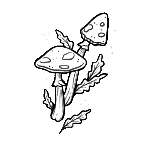 steph_fireflyatelier giphyupload nature black and white minimal Sticker