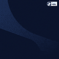 Handball Sg GIF by DAIKIN HBL