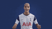 London Football GIF by Tottenham Hotspur