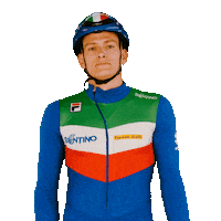 federazioneghiaccio ice wintersport sportinvernali speedskating Sticker