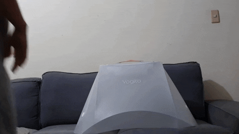 clairechang749b giphygifmaker GIF