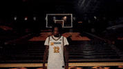 Ncaa Basketball GIF by Mizzou Athletics
