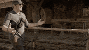donkey GIF by Jerrod Niemann