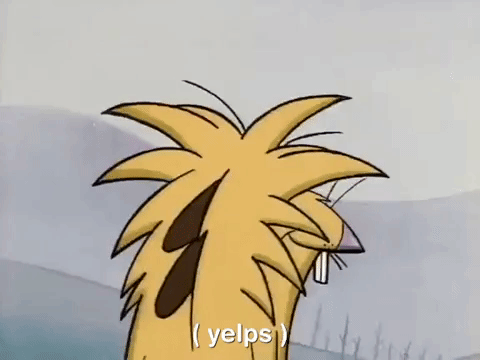 nickrewind giphydvr nicksplat angry beavers giphyab002 GIF